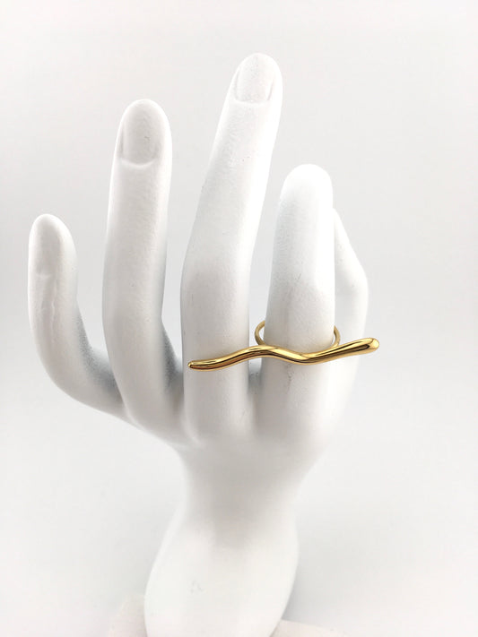Anello Linearia