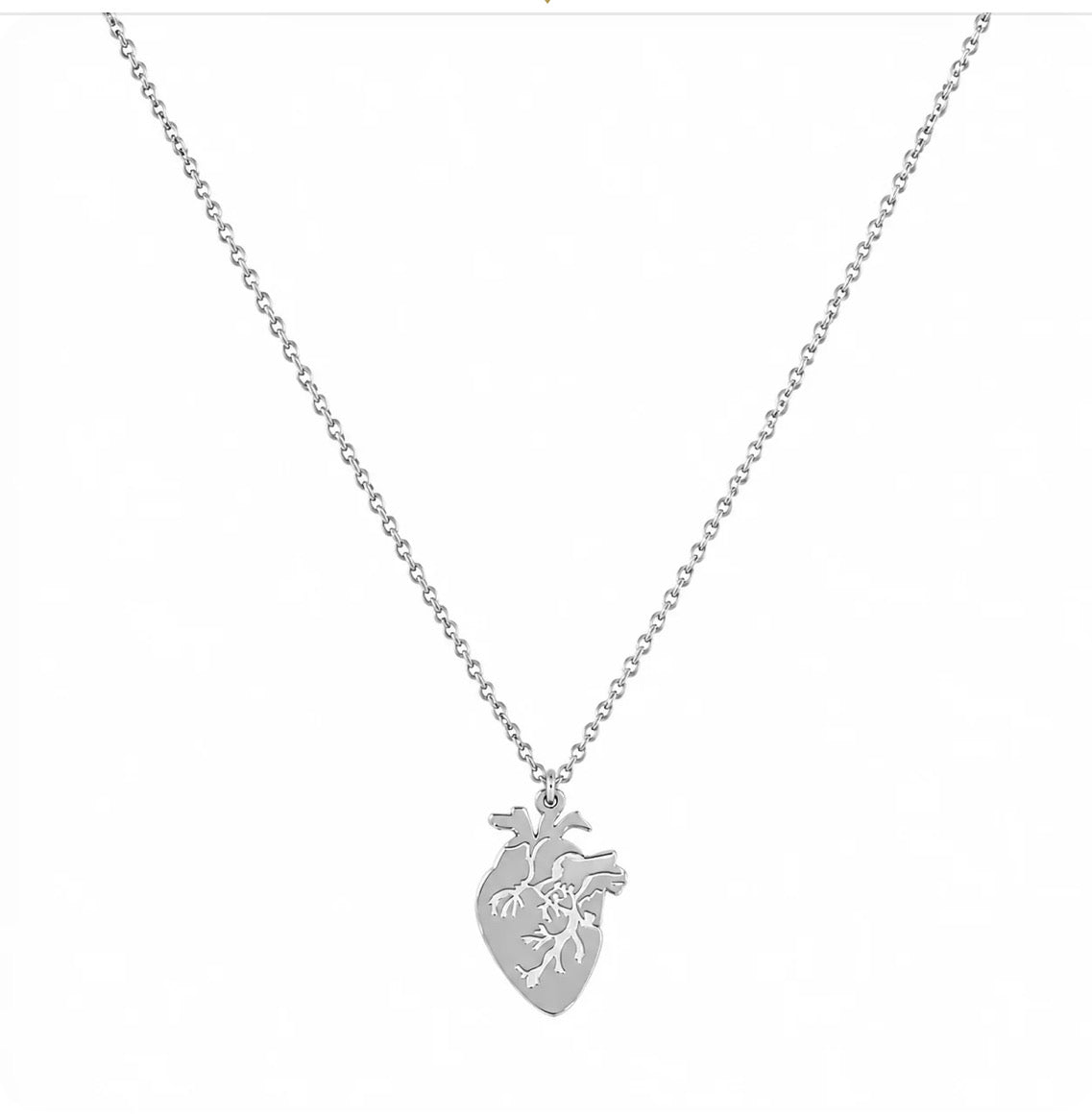 Collana Cuore Anatomico