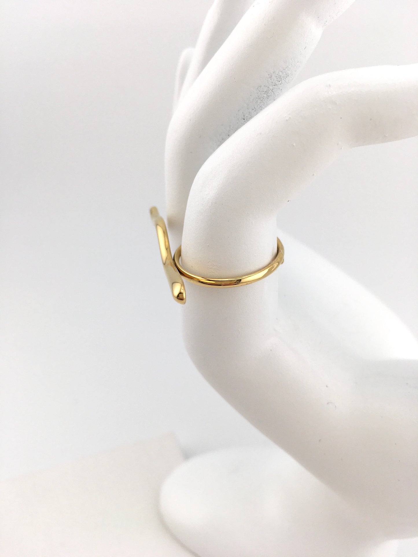 Anello Linearia