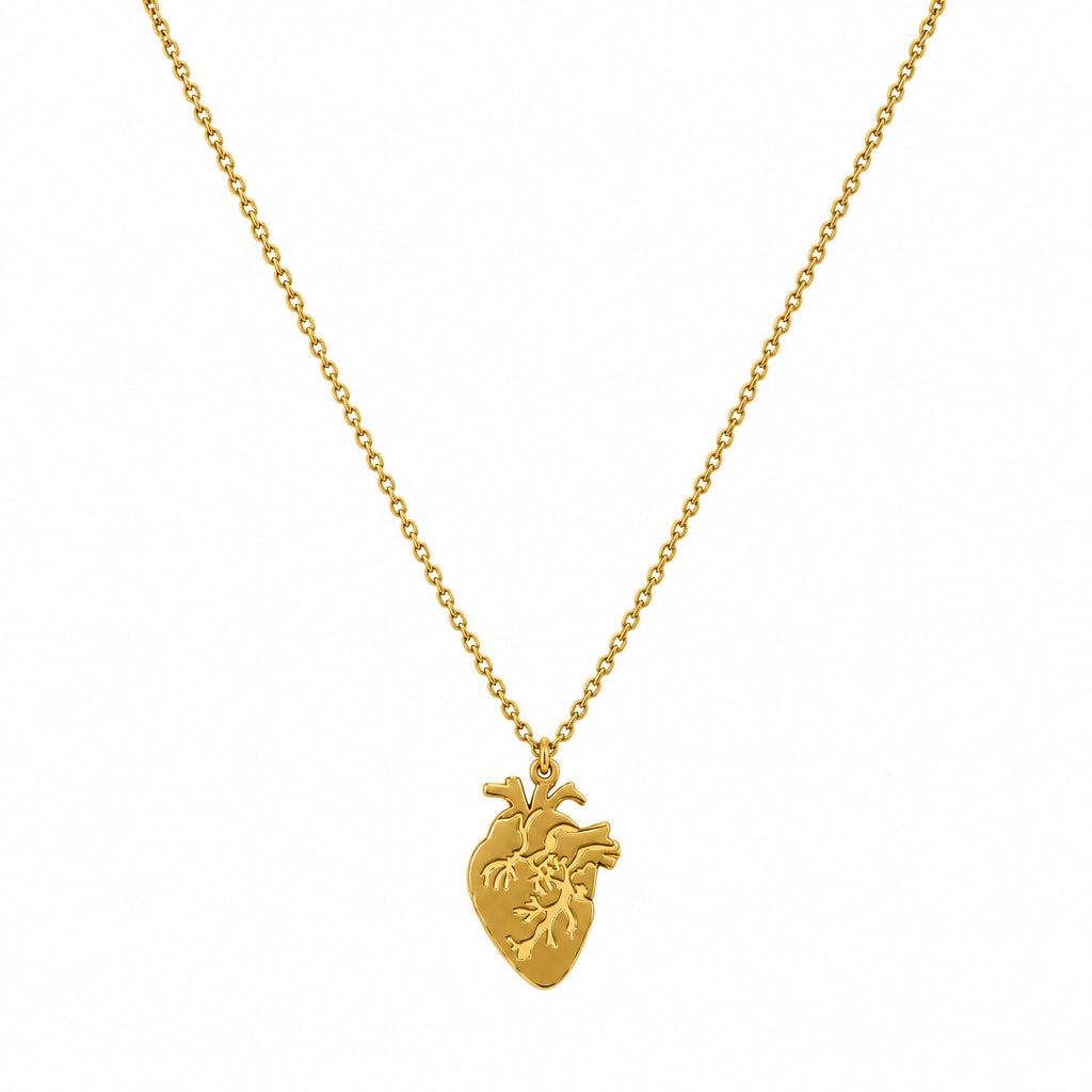 Collana Cuore Anatomico